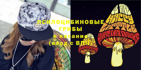 эйфоретик Алзамай