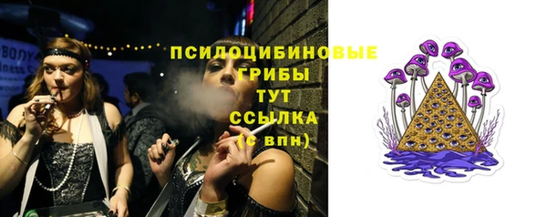 эйфоретик Алзамай